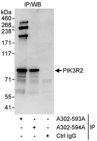 Anti-PIK3R2