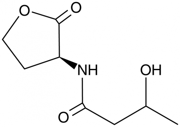 N-3-hydroxybutyryl-L-Homoserine lactone