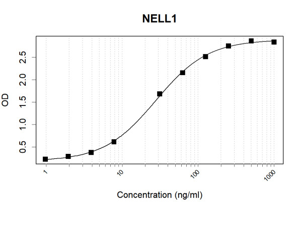 Anti-Human NELL1 Antibody Pair