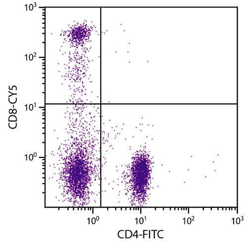 Anti-CD8 (Cy5), clone RFT8