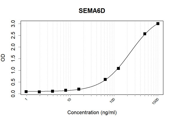 Anti-Human SEMA6D Antibody Pair