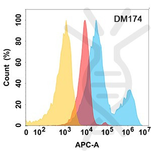 Anti-ROR2 antibody(DM174), Rabbit mAb