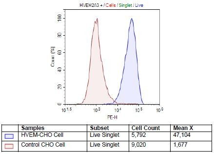 HVEM - CHO Recombinant Cell Line
