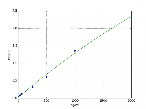 Human MIP-1 beta / CCL4 ELISA Kit