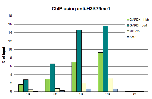 Anti-H3K79me1