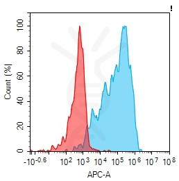 Anti-GPR75, clone 12B6, Rabbit mAb