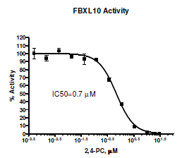 FBXL10 Chemiluminescent Assay Kit
