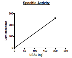 UBA6 (UBE1L2), active human recombinant protein