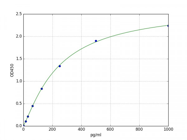 Canine MCP-1 / CCL2 ELISA Kit