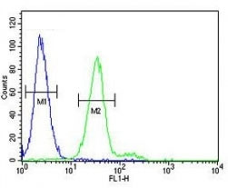 Anti-CD117