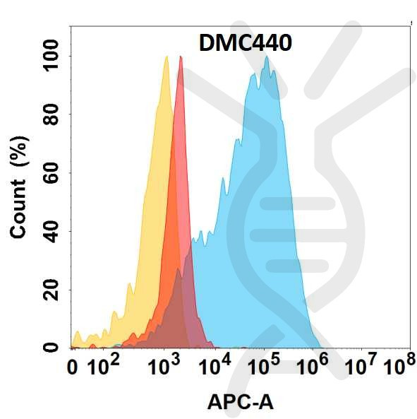 Anti-UPA antibody(DMC440), IgG1 Chimeric mAb