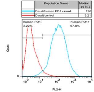 Daudi/PD1 Stable Cell Line