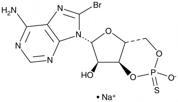Sp-8-bromo-Cyclic AMPS (sodium salt)