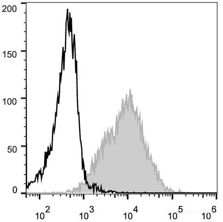 Anti-Mouse CD54 (PE Conjugated)[YN1/1.7.4], clone YN1/1.7.4