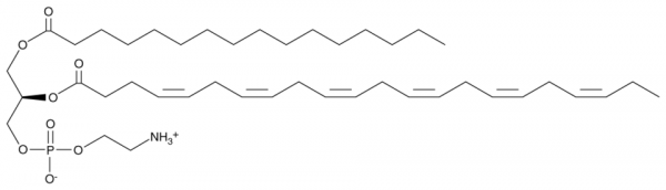 1-Palmitoyl-2-Docosahexaenoyl-sn-glycero-3-PE