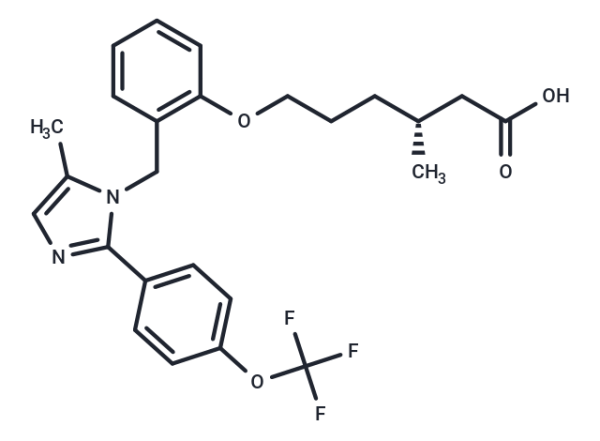 MA-0204