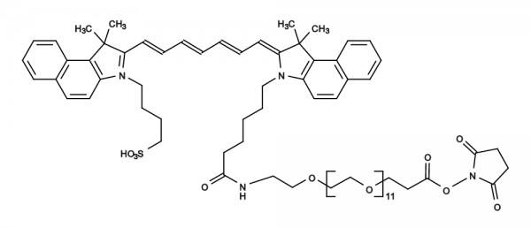 ICG-PEG12-OSu