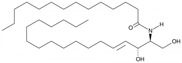C14 Ceramide (d18:1/14:0)
