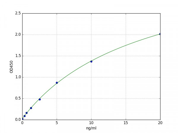 Human NLGN4X ELISA Kit