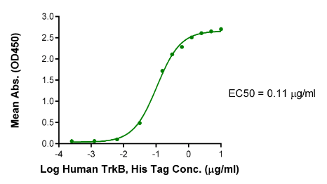 TrkB/NTRK2, His, Human