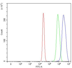 Anti-SERPINB13 / PI13