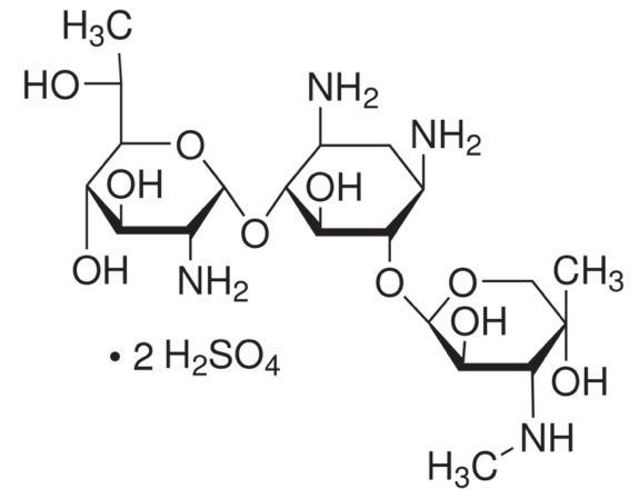 G418 Sulfate (Geneticin)