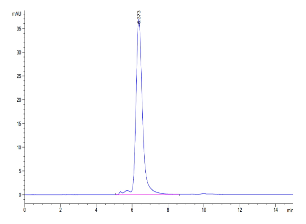 Human CD52 Protein