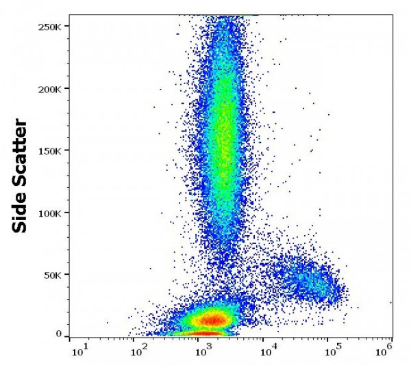 Anti-CD163, clone GHI/61