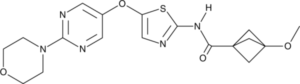 RGN6024