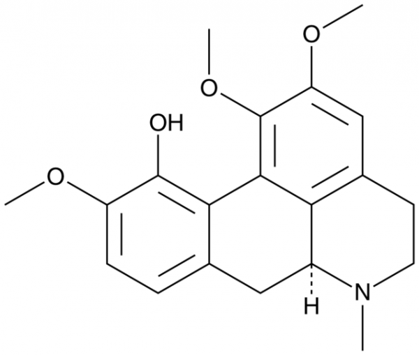 Isocorydine