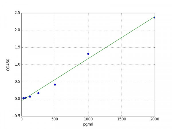 Rat CTGF / Connective tissue growth factor ELISA Kit
