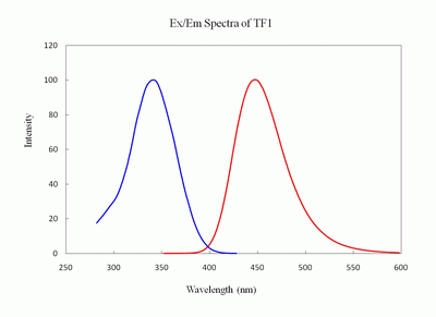 Tide Fluor(TM)1 amine (TF1 amine) *Superior replacement to EDANS*