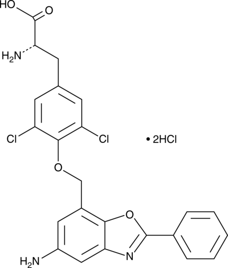 JPH203 (hydrochloride) | CAS 1597402-27-1 | Cayman Chemical