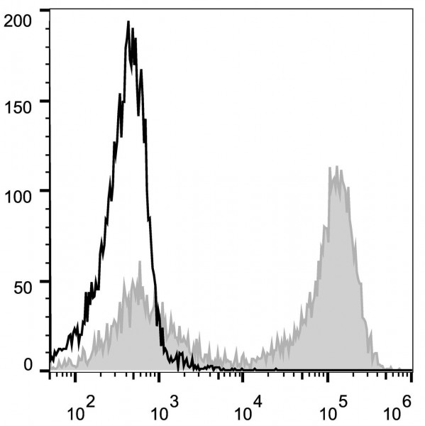Anti-CD90.2 (mouse) (PE Conjugated), clone 30H12