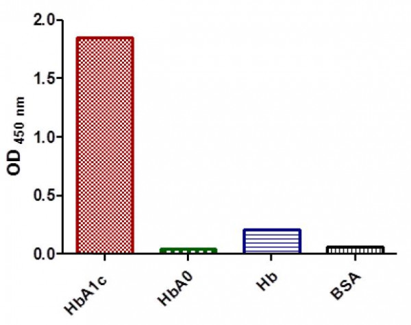 Anti-HbA1c, clone SQab1508