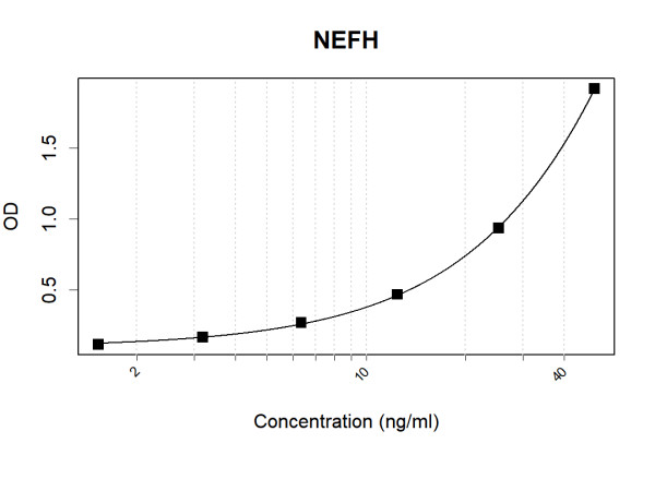 Anti-Human Neurofilament Heavy Polypeptide Antibody Pair