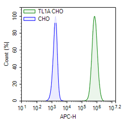 TL1A CHO Cell Line