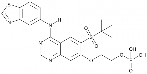 GSK2983559