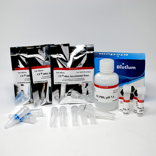 CF(R)405M Protein Labeling Kit