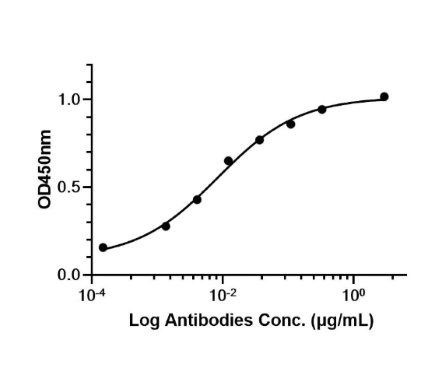 Anti-C5aR1 Antibody (Avdoralimab)
