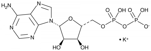 Adenosine 5'-diphosphate (potassium salt hydrate)