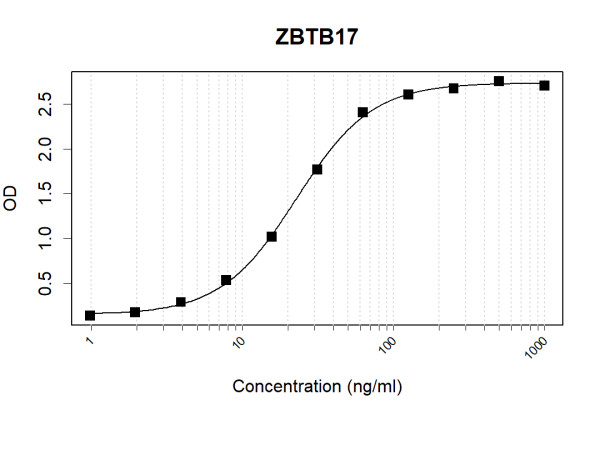 Anti-Human ZBTB17 Antibody Pair