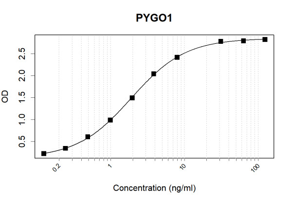 Anti-Human PYGO1 Antibody Pair