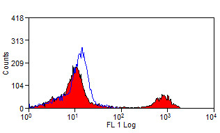 Anti-CD16, clone KD1