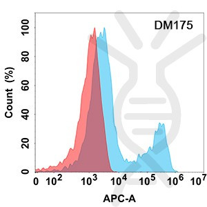 Anti-Her3 antibody(DM175), Rabbit mAb