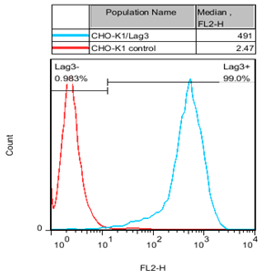 CHO-K1/Lag3 Stable Cell Line