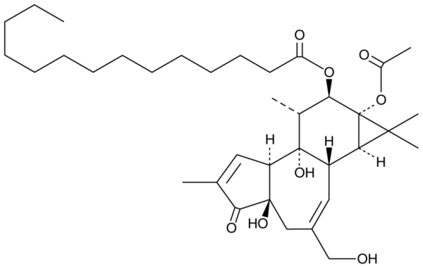 Phorbol 12-myristate 13-acetate