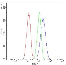 Anti-Pinin / PNN / DRSP