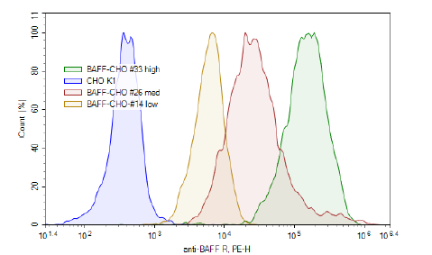 BAFF-R - CHO K1 Recombinant Cell Line (Medium Expression)