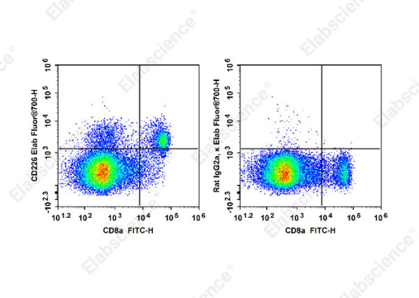 Elab Fluor(R)700 Anti-Mouse CD226 Antibody[480.1]